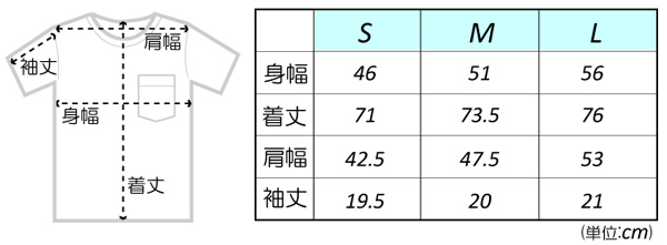 サイズ表